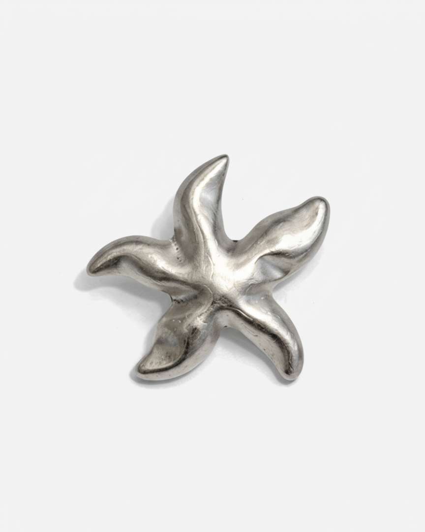 Pendientes Starfish